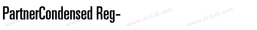 PartnerCondensed Reg字体转换